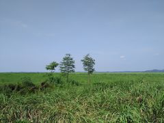 -梁子岛生态旅游区