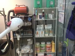 -PETKIT 小佩宠物·低压洗护·美容·寄养(安远店)