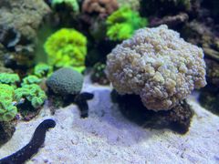 -珠海长隆海洋王国