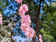 -天鹅湖体育公园