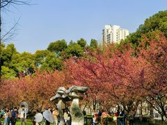 -静安雕塑公园
