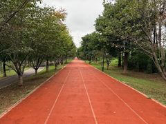 -金银湖国家城市湿地公园