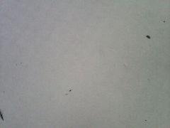 android_upload_pic-比尔斯健康烤肉自助餐厅