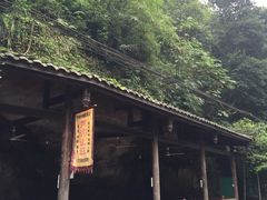 -芦沟竹海