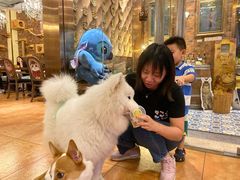 -more than meow吴止猫主题餐厅(承德 中船汇店)