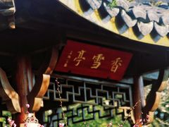 -杭州植物园
