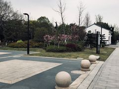 -苏州文庙(姑苏区)