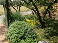 -中国天府农业博览园