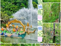 -西双版纳原始森林公园