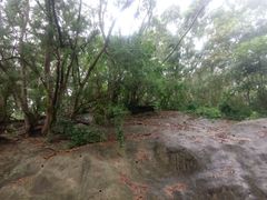 -狮子山郊野公园
