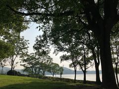 -上海月湖雕塑公园
