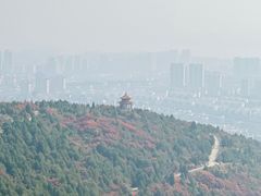 -府君山公园