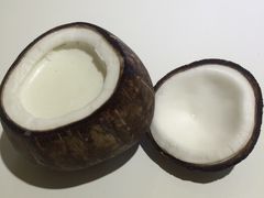 -志龙皇冠吃货椰子铺