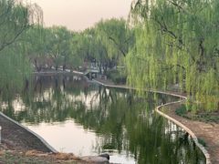 -石家庄市植物园