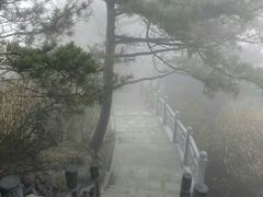 -洛阳白云山景区