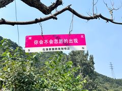 -京北渔家傲