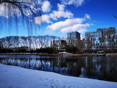 -大兴滨河森林公园