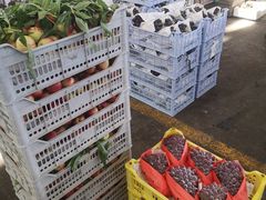 -西郊国际农产品交易中心