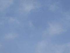 -长兴岛郊野公园农场食堂