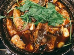 麻辣鲶鱼煲-川香煲(茅台路店)