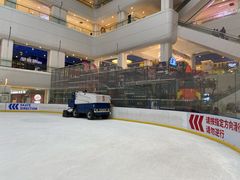 -炫采冰场(红博中央公园商场店)