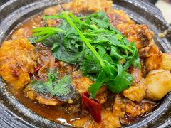 麻辣鲶鱼煲-川香煲(茅台路店)