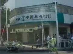 -红柳枝滩羊烧烤·非遗