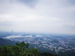 -紫金山山顶公园