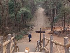 -青龙山国家森林公园