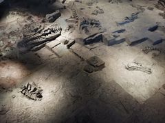 -自贡恐龙博物馆