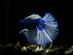 -三旗百汇商品城