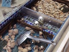 -天盛海鲜烧烤大排档·本地小海鲜·牟平腿穗子(幸福店)