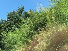 -将军关探险漂流