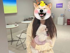 -怪兽屋·羊驼·猫咖·狗咖(俊华广场店)