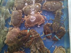 -日照大牌檔•小船海鲜(万平口店)