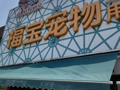 -中环花鸟鱼虫市场