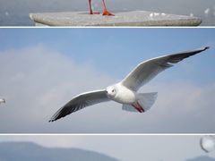 -海埂大坝