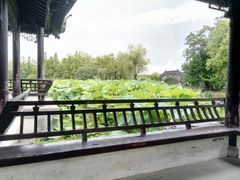 -高子水居
