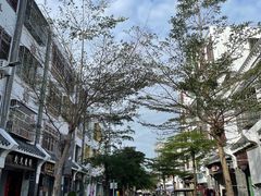 -后海村