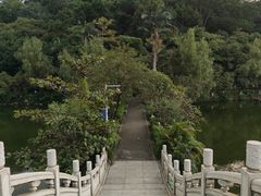 -长安公园