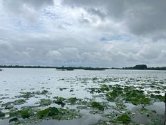 -苏州太湖湖滨国家湿地公园
