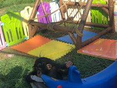 -石家庄市动物园