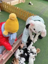 -萌宠亲子动物乐园(槐房万达店)