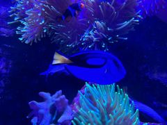 -太平洋海底世界