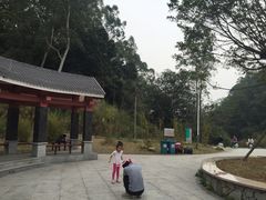 -火炉山森林公园