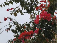 -云溪植物园