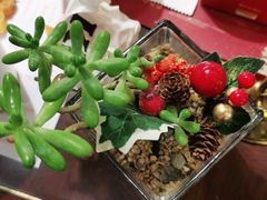 -小隐人家(乐松店)