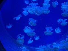 -沈阳海洋探索中心