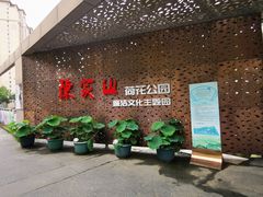 -陈家山荷花公园