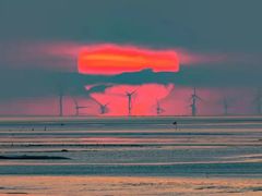 -黄海国家森林公园